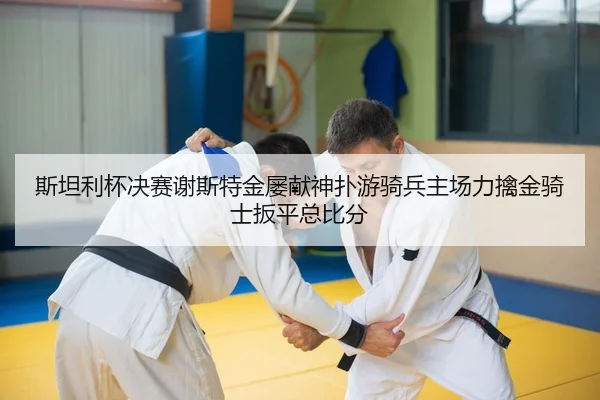 斯坦利杯决赛谢斯特金屡献神扑游骑兵主场力擒金骑士扳平总比分（PG）